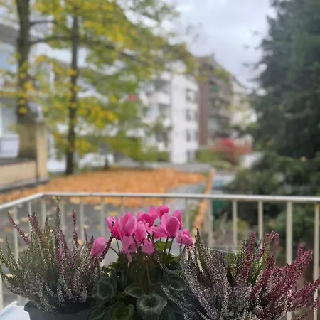 Hotel Am Ehrenhof